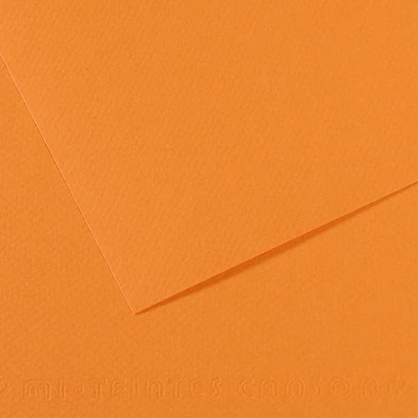 Canson Fon Kartonu (Dokulu) Mı-Teıntes 25 Lİ 50x65 160 GR 384 Saumon 200321104