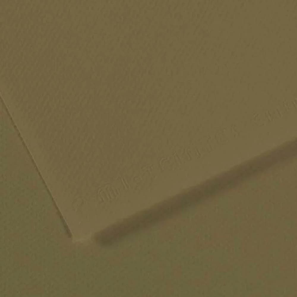 Canson Fon Kartonu (Dokulu) Mı-Teıntes Sh Canmt 50x65 160 GR Grn 191