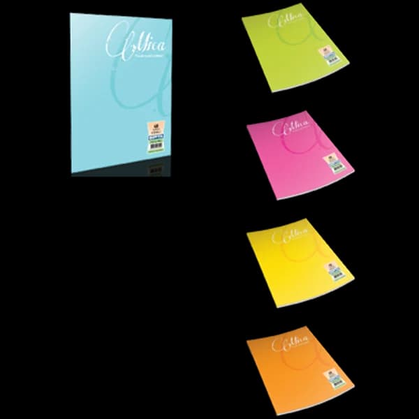 Gıpta Defter (Dikişli ) Mica Plastik Kapak Çizgili 80 YP A5 2054