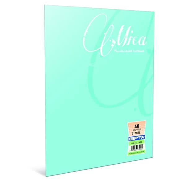 Gıpta Defter (Dikişli ) Mica Plastik Kapak Kareli 100 YP A5 2935