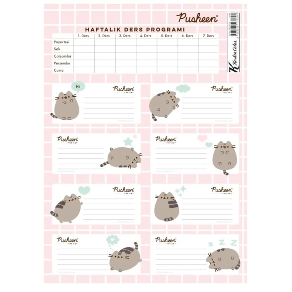 Pusheen Ders Programlı Etiket 3 Lü 220130-10