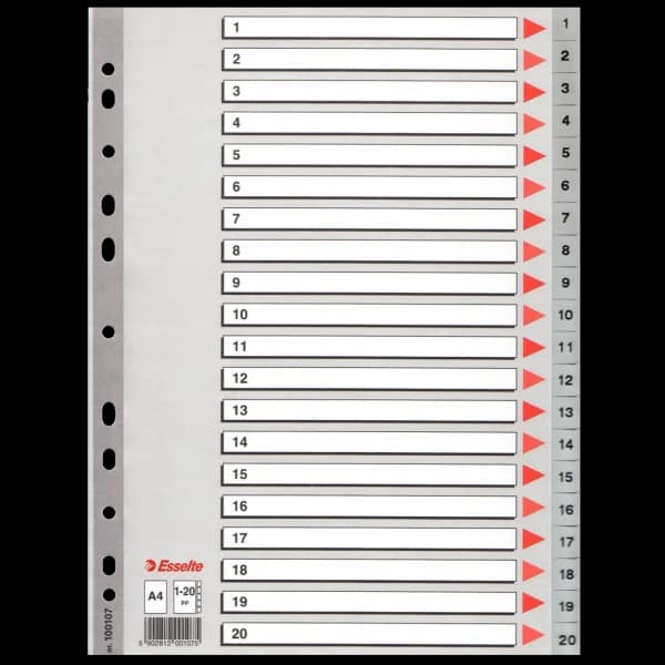Esselte Seperatör 1-20 Rakamlı Plastik A4 100107