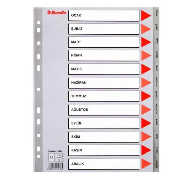 Esselte Seperatör Aylar Plastik A4 13936