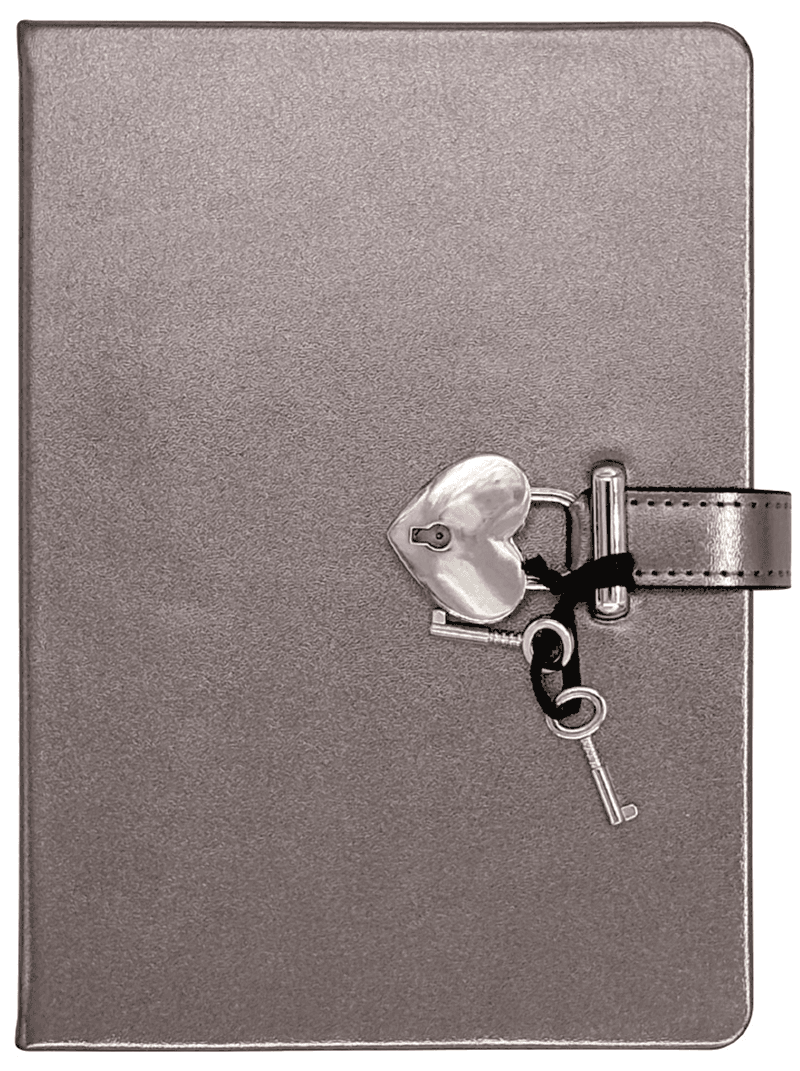 VİCTORİAS JOURNALS HUSH HUSH KİLİTLİ METALİK DEFTER KUTULU 80GR. 160 YP. ÇİZ..PLATİNUM 124-1908