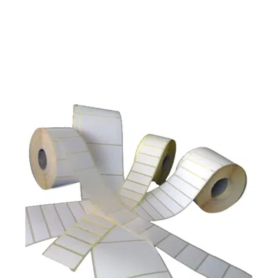 KUŞE ETİKET 30x60 mm 1000 LİK RULO