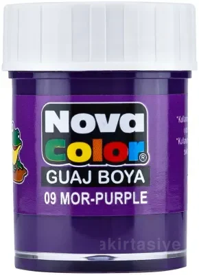 NOVA COLOR GUAJ BOYA MOR ŞİŞE NC-111
