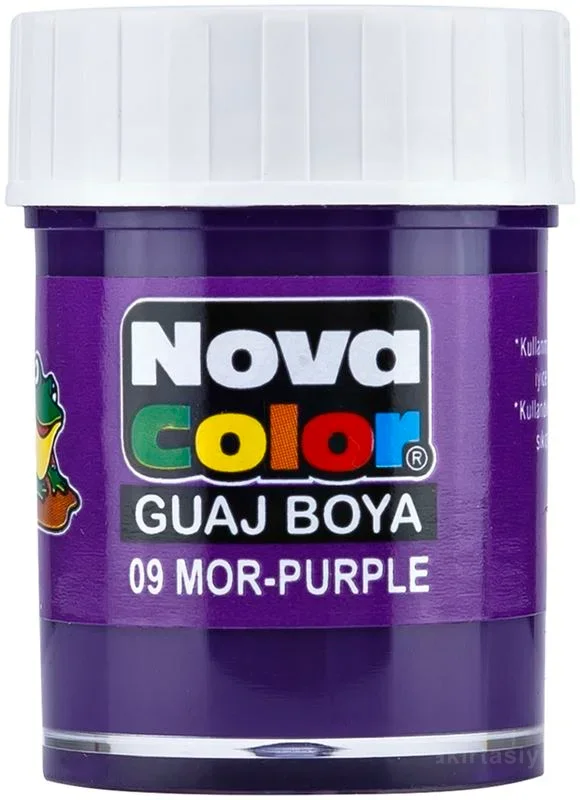 NOVA COLOR GUAJ BOYA MOR ŞİŞE NC-111