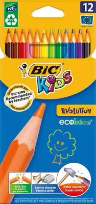 BİC EVOLUTION 12 RENK KURU BOYA 82902910