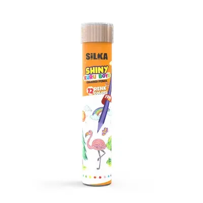 SİLKA ART.86T HEX SHINY 12 RENK TÜP KURU BOYA