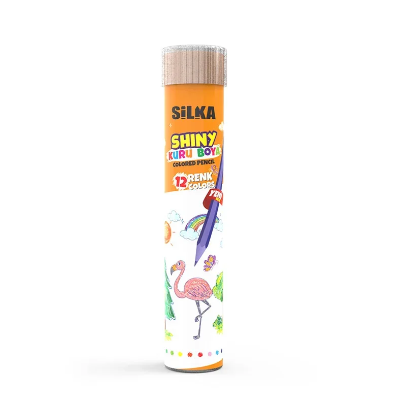 SİLKA ART.86T HEX SHINY 12 RENK TÜP KURU BOYA
