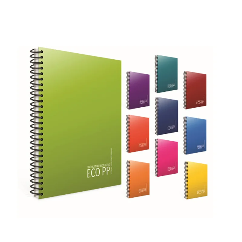 GIPTA EKO A4 80 YP ÇİZGİLİ SPR PP KPK DEFTER 2029 (Best)