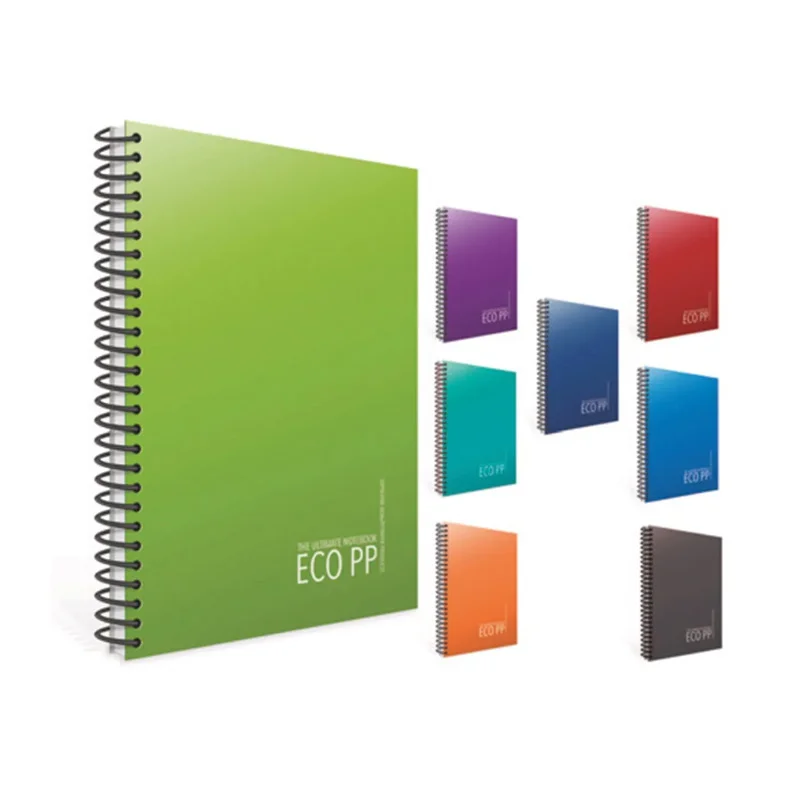 GIPTA EKO A4 80 YP KARELİ SPR PP KPK DEFTER 2030 (Best)