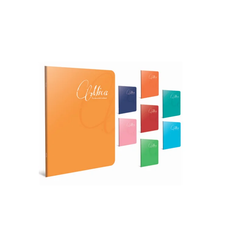 GIPTA MICA A5 60 YP KARELİ PP KAP.DEFTER 1712 (Best)