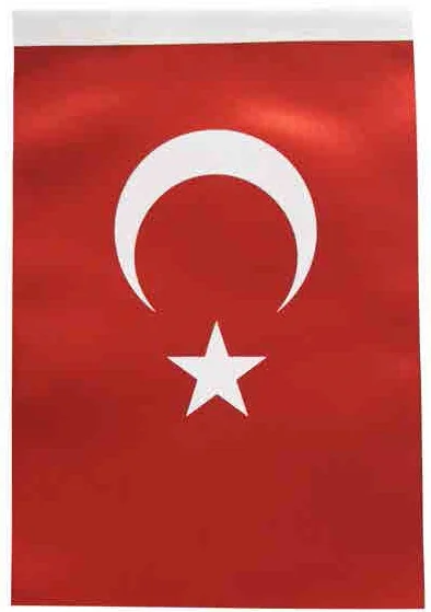 İNTER TÜRK BAYRAĞI B-033 800x1200 CM