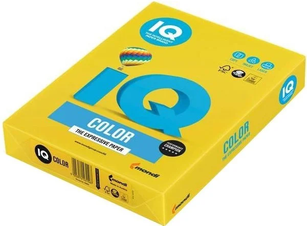 IQ RENKLİ FOTOKOPİ KAĞIDI 500 LÜ A4 80 g/m² HARDAL NE1320-IG50