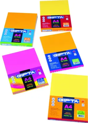 GIPTA FOTOKOPİ KAĞIDI RENKLİ A4 5x20 RENK NEON 100 LÜ 1530