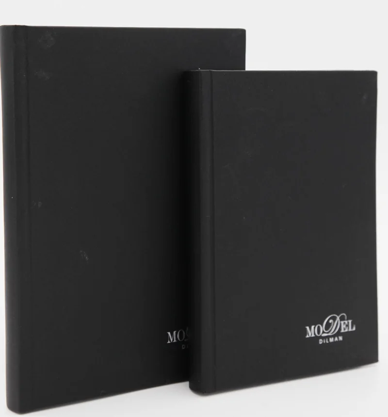 DİLMAN DEFTER MODELİST CİLTLİ SERT KAPAK 17x24 160 YP ÇİZGİLİ 6014