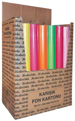 KESKİN FON KARTONU 50X70 110 GR 10 LU KARIŞIK 201302-99