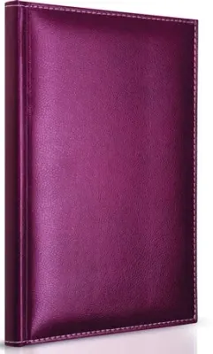 GIPTA DEFTER MODELIST 14X20 İPLİK DİKİŞLİ DERİ KAPAKLI 160 YP. ÇİZGİLİ 1606