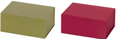 GIPTA KUTU KATLANABİLİR 2 NOLU BLOOM BX09830