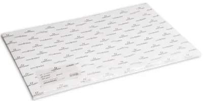 CANSON SULU BOYA KAĞIDI GUARRO 70x100 350 GR 200408045