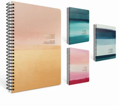 GIPTA DEFTER PAPERNOTES 17x24 SPİRALLİ SERT KAPAK 120 YP. ÇİZGİLİ 6374