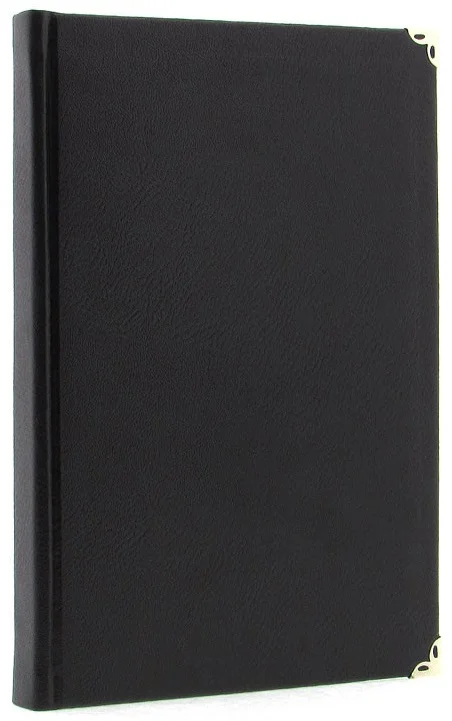LİZ AJANDA 17X24 EKONOMİK SUNİ DERİ ÇİZGİLİ AJ927