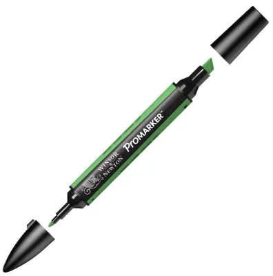 W&amp;N PROMARKER KALEM GRASS 253 (G457) WN-0203253