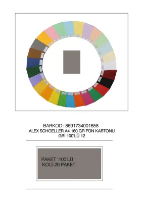 ALEX FON KARTONU 160GR A4 GRİ 100 LÜ 12