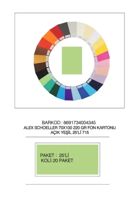 ALEX FON KARTONU ARTİST 220GR 70X100 A.YEŞİL 25 Lİ 715