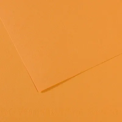 CANSON FON KARTONU MI-TEINTS 50x65 160 GR ( 25 Lİ PAKET ) KENEVİR 374 200321094