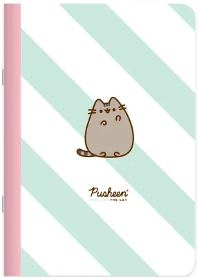 KESKİN PUSHEEN 18,5*26 40 YP ÇİZ. STİCKERLİ TEL DİKİŞLİ DEFTER 381851-10