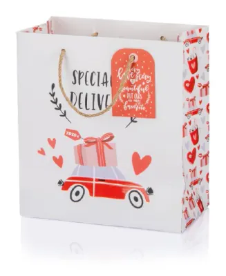 GIPTA KARTON ÇANTA B4 VALENTINES DAY CARITAS BG972