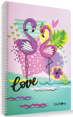 ÇINAR DEFTER A4 DREAM SPİRALLİ PP KAPAK 60 YP. ÇİZGİLİ 72504