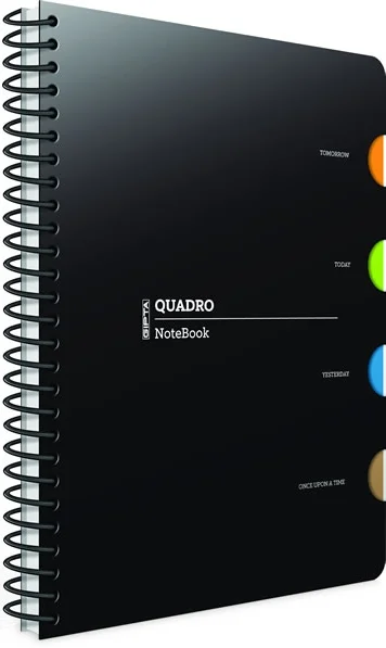 GIPTA DEFTER QUADRO 17X24 SPİRALLİ PP KAPAK 4 SEPERATÖRLÜ 150 YP. KARELİ 2908