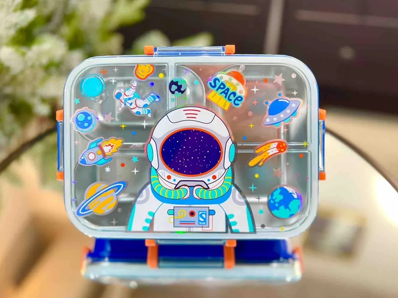 DREAM VEST ASTRONOT 2 ÇELİK BESLENME KABI VST-BES0021