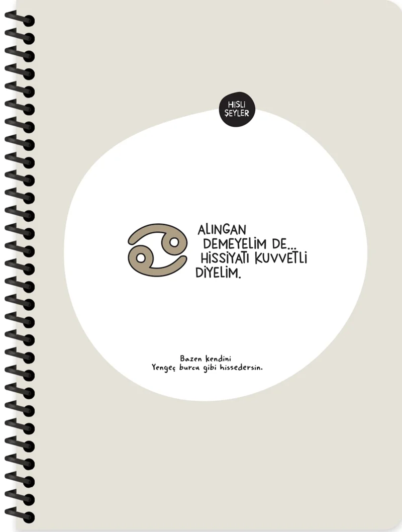KESKİN DEFTER HİSLİ ŞEYLER BURÇLAR SERİSİ 16.5x22.5 SPİRALLİ KARTON KAPAK STICKERLİ 80 YP. ÇİZGİLİ 5