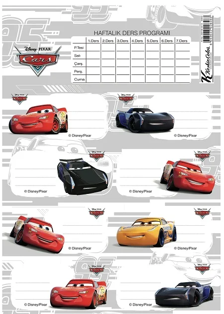 KESKİN ETİKET DERS PROGRAMLI 3 LÜ CARS 220130-33