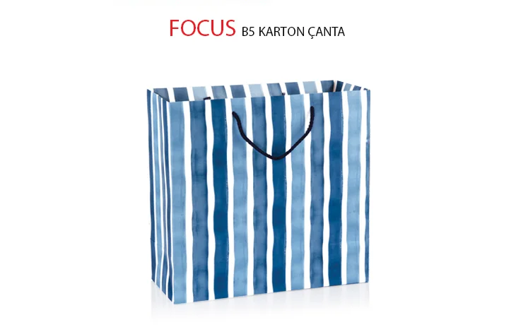 GIPTA KARTON ÇANTA FOCUS B5 BG28510