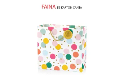 GIPTA KARTON ÇANTA FAINA B5 BG28650