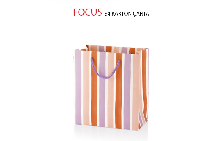 GIPTA KARTON ÇANTA FOCUS B4 BG28480