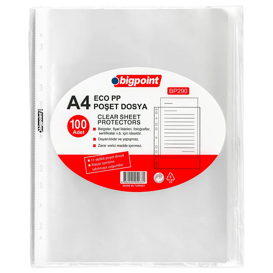 Bigpoint Poşet Dosya Eco 30 Mikron 100'lü Paket