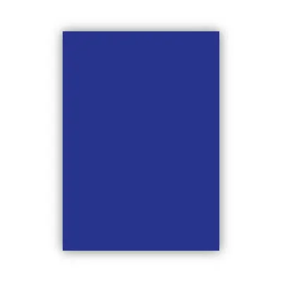 Bigpoint Fon Kartonu 50x70cm 160 Gram Lacivert