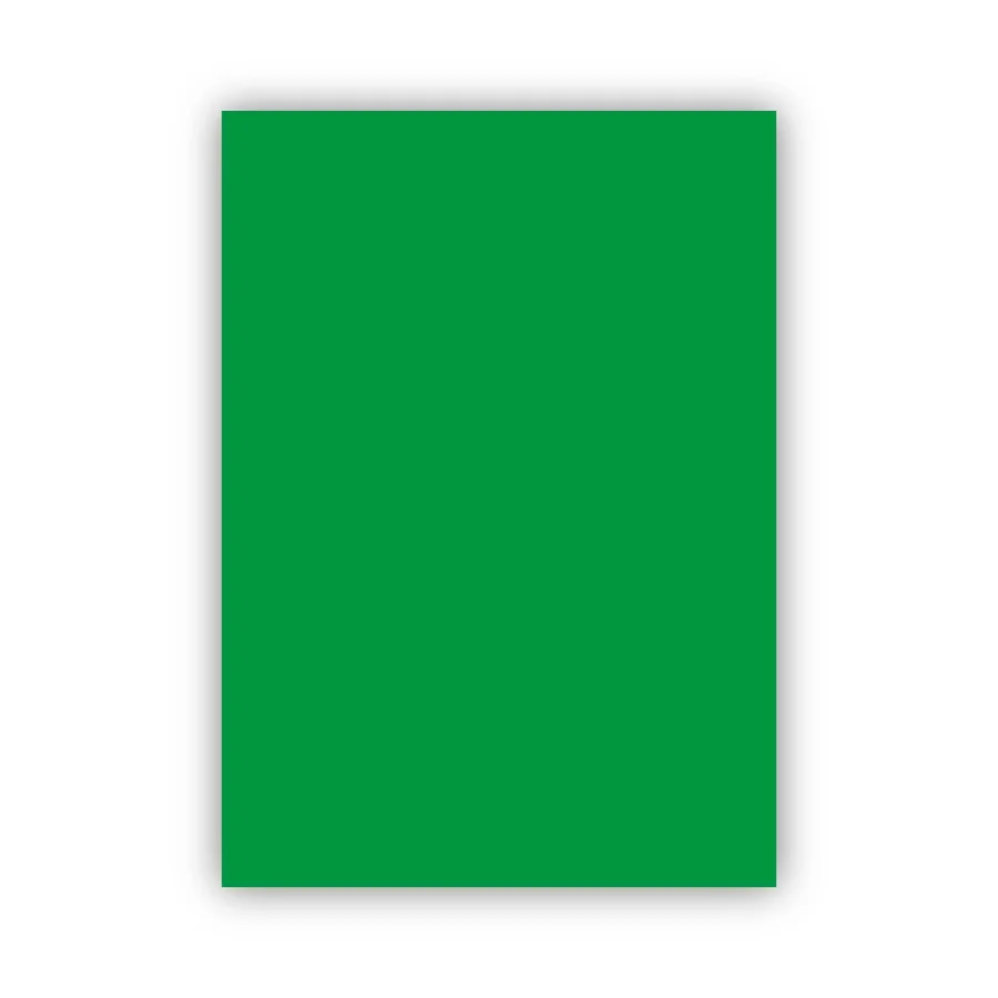 Bigpoint Fon Kartonu 50x70cm 160 Gram Koyu Yeşil