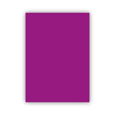 Bigpoint Fon Kartonu 50x70cm 160 Gram Mor