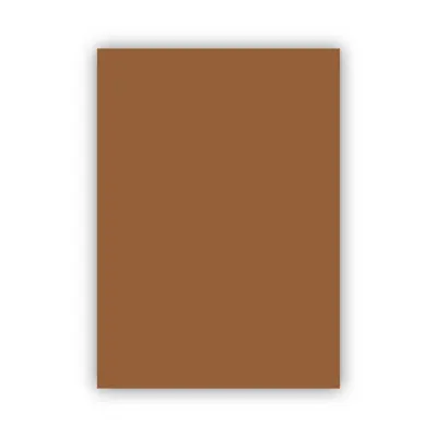 Bigpoint Fon Kartonu 50x70cm 160 Gram Kahverengi