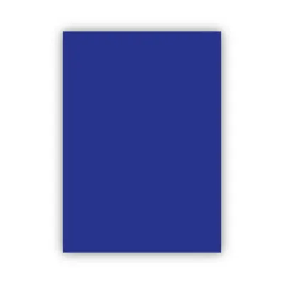 Bigpoint Fon Kartonu 50x70cm 120 Gram Lacivert
