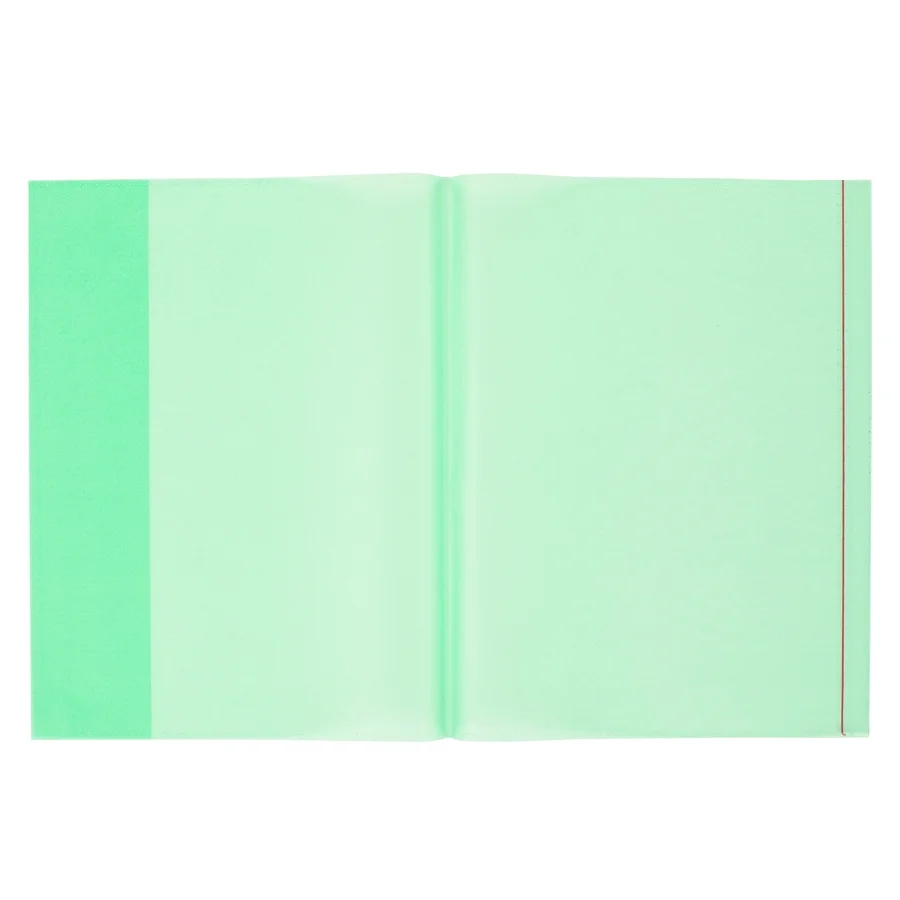 Bigpoint A4 Hazır Defter Kabı 10'lu Paket Yeşil