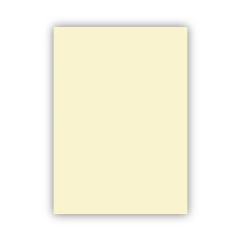 ALEX KOLEJ FON KARTONU 50x70 FİLDİŞİ 160 GR 100 LÜ 1002 (Best)