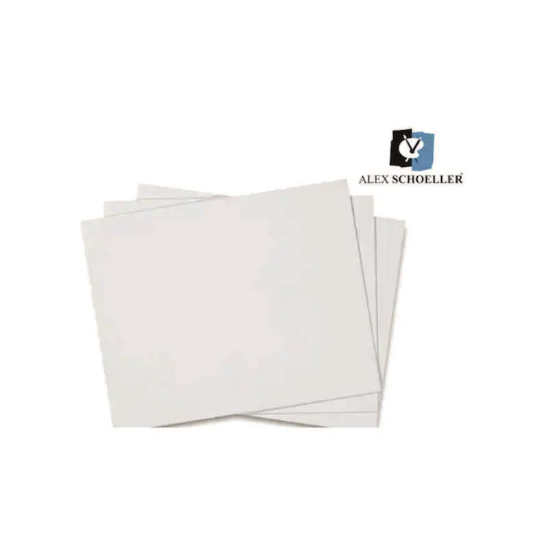 ALEX SCHOELLER 25x35 100 LÜ RESİM KAĞIDI 120 gr (Best)